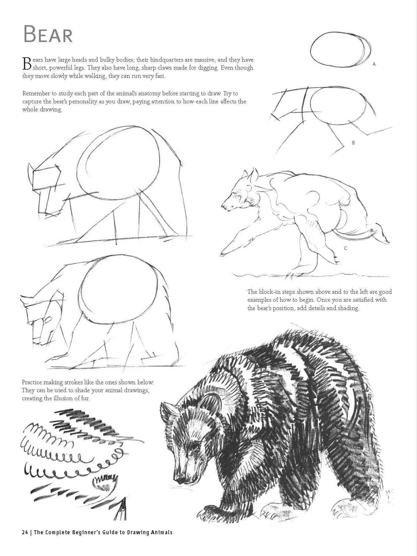 Drawing Animals from Scratch: A Complete Beginner's Guide to Graphite & Colored Pencil