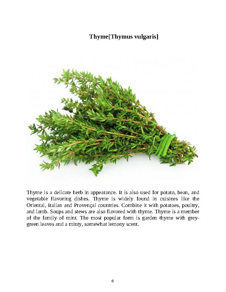 Natural Herbal Medicine Encyclopedia: 50+ Native American Medicinal Plants Guide (PDF)