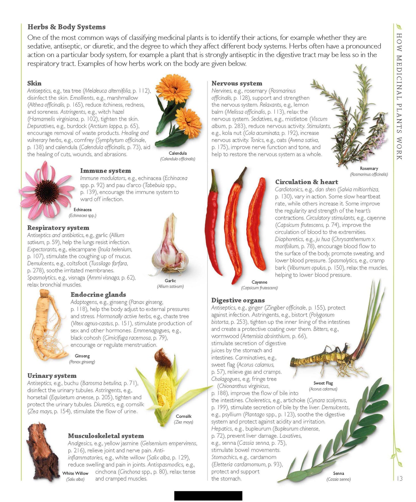 Herbal Medicine Encyclopedia: 550 Herbs & Remedies for Common Ailments (PDF)