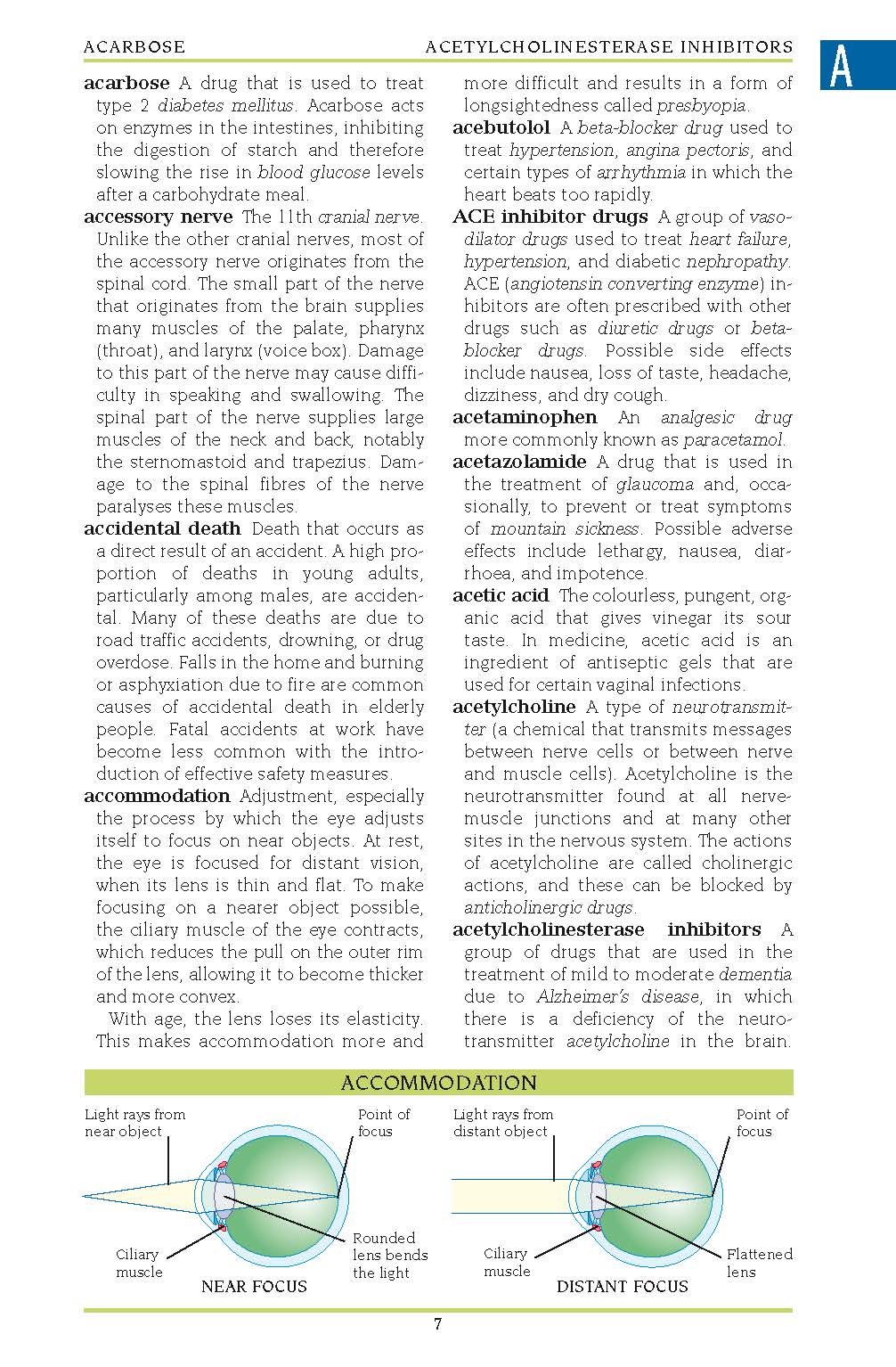 Illustrated Medical Dictionary