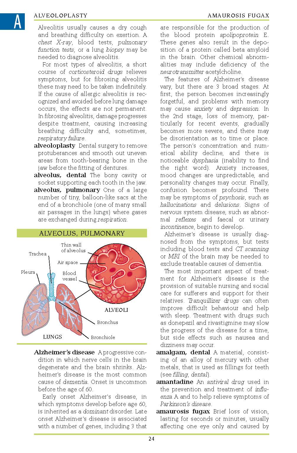 Illustrated Medical Dictionary